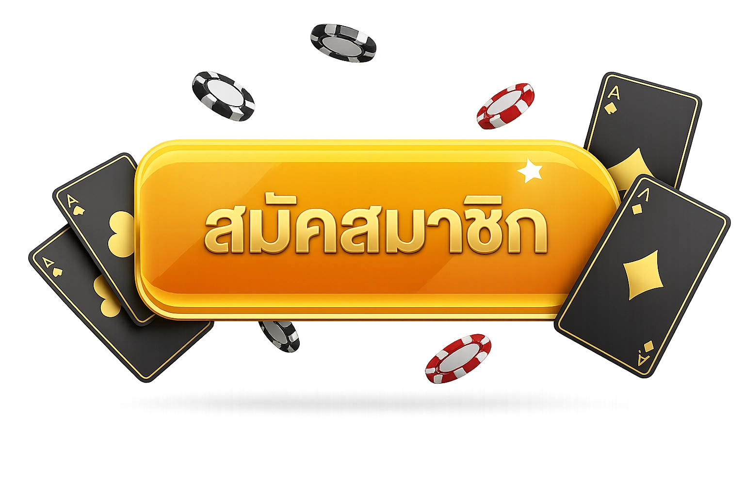 ปุ่ม-register